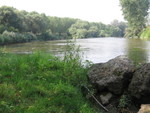 IMG 4552