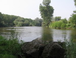 IMG 4553