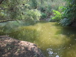 IMG 4554