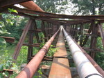 IMG 4548