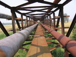 IMG 4549