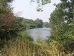 IMG 4550