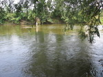 IMG 4555