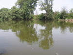 IMG 4557