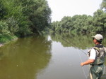 IMG 4558