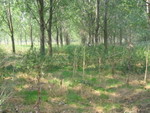 IMG 4567
