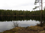 Fiske-001