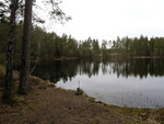 Fiske-002