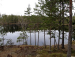 Fiske-003