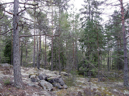 Fiske-004