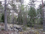 Fiske-004