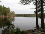 Fiske-007