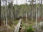 Fiske-008