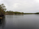 Fiske-010