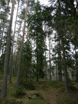 Fiske-016
