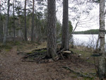 Fiske-018