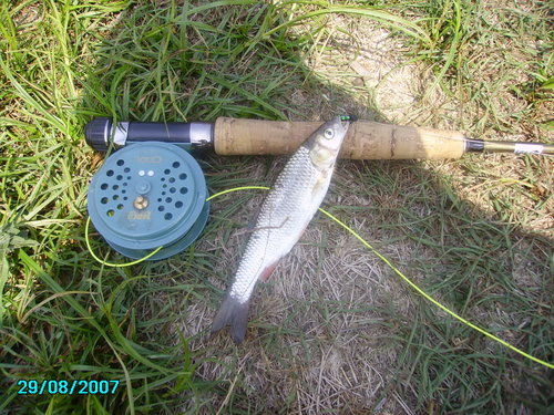 Picture 007