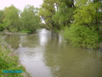 IMGP0088