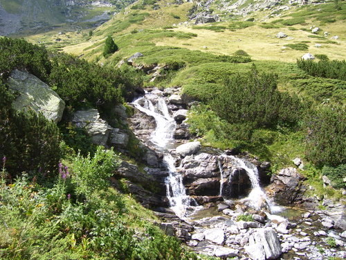 Picture 126