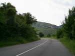 PIC 0006