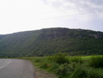 PIC 0007