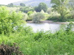 PIC 0015