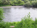 PIC 0016