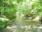 PIC 0018