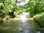 PIC 0019
