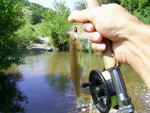 PIC 0020