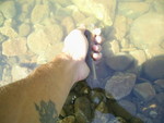 PIC 0021
