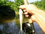 PIC 0022
