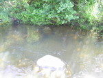 PIC 0026
