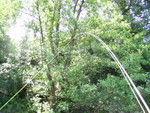 PIC 0031