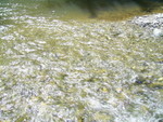 PIC 0032