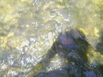 PIC 0033