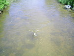 PIC 0035