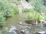 PIC 0037