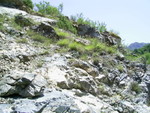 PIC 0039