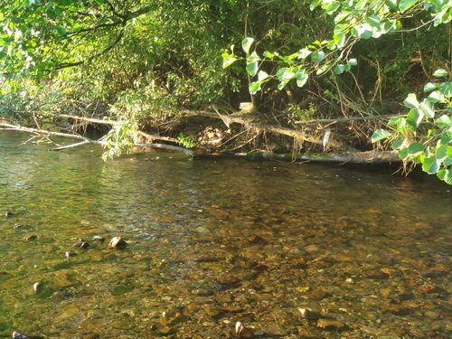 Picture 006