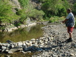 Picture 014