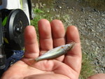 Picture 016