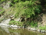 Picture 017