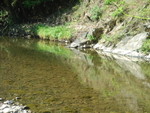 Picture 018