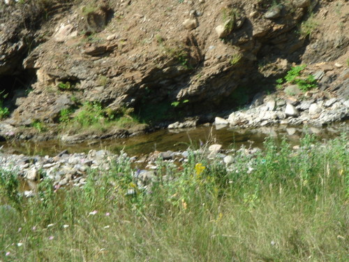 Picture 019