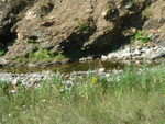Picture 019