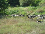 Picture 020