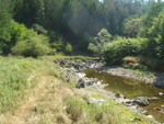 Picture 021