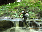 IMG 0047