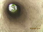 IMG 3730